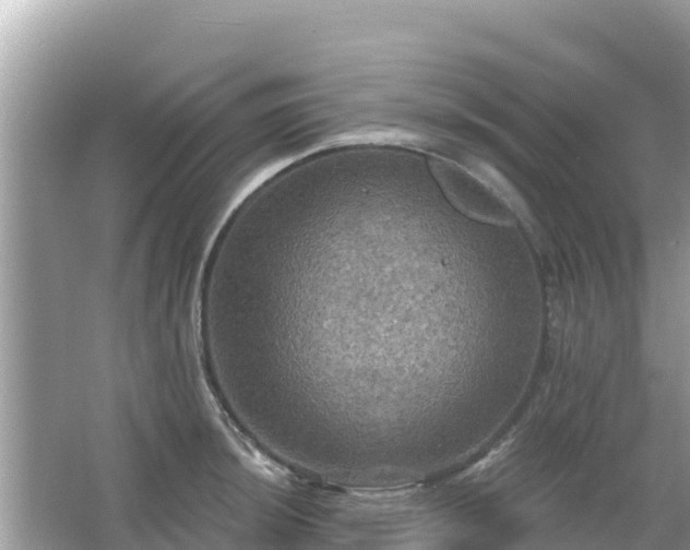 X0000066011044200603101551