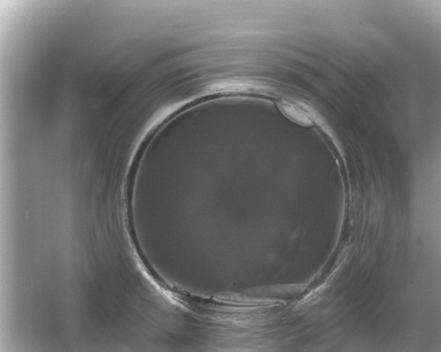 X0000066011045200603101551