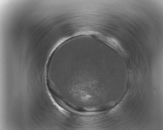 X0000066011046200603101551