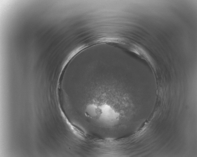 X0000066011050200603101551