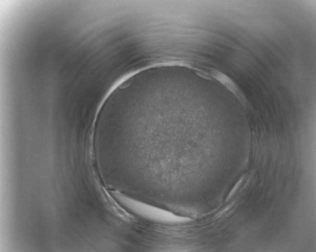 X0000066011052200603101551