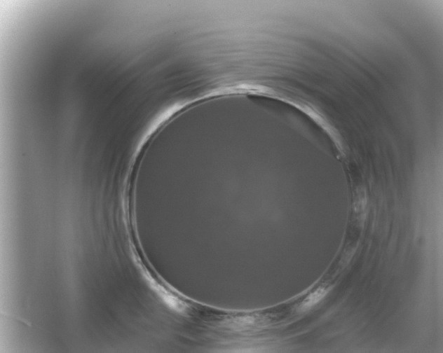 X0000066011054200603101551