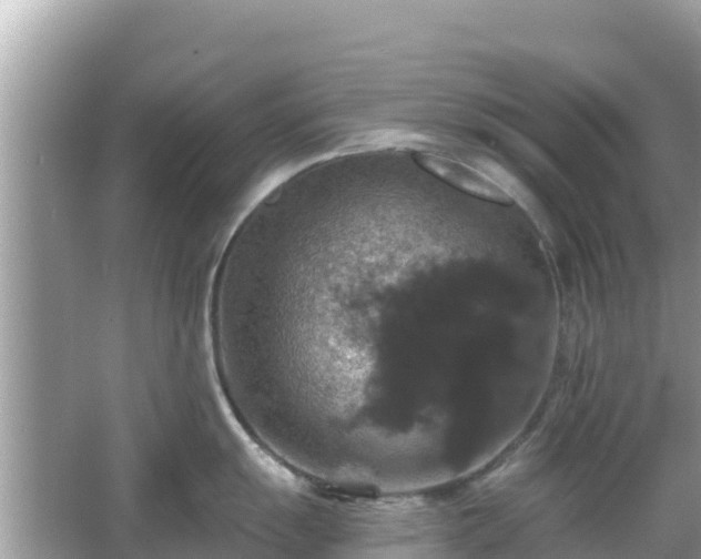 X0000066011055200603101552