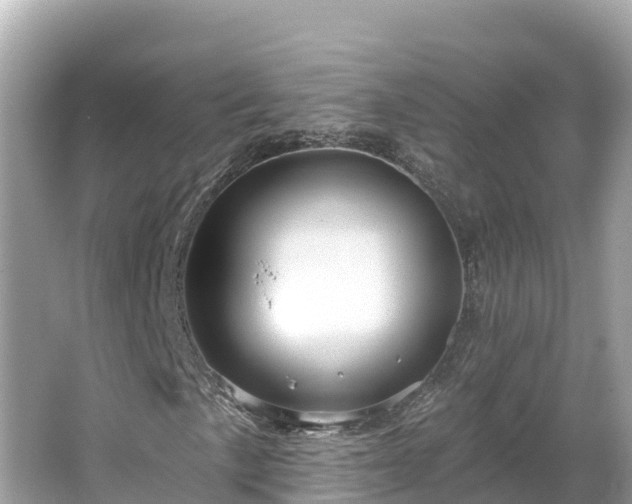 X0000066011057200603101551