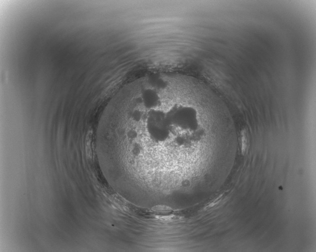 X0000066011059200603101551