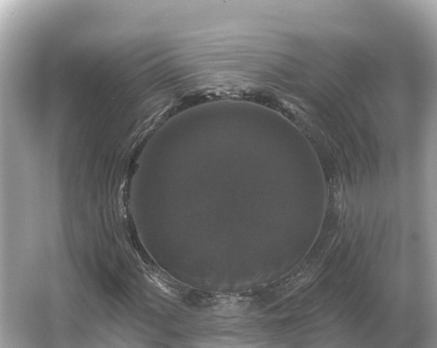 X0000066011060200603101551