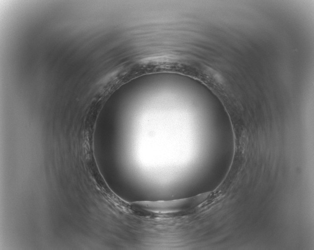 X0000066011062200603101551