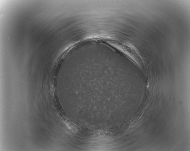 X0000066011064200603101551