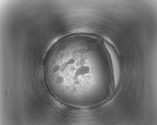 X0000066011067200603101551