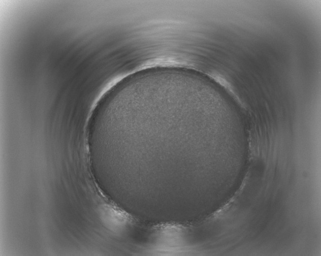 X0000066011070200603101551