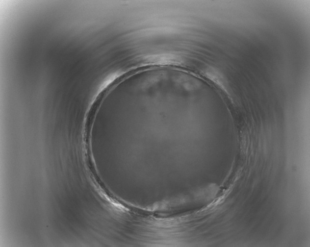 X0000066011071200603101550