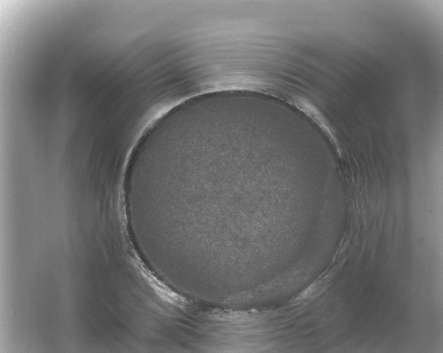 X0000066011072200603101550