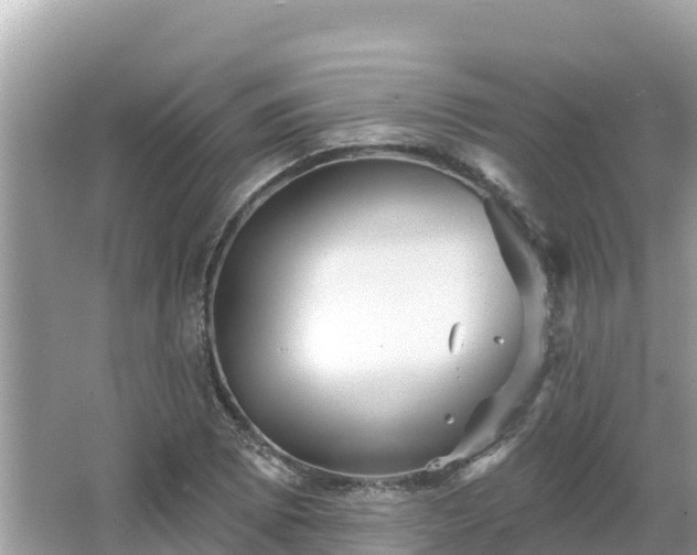 X0000066011073200603101550