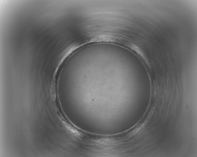 X0000066011075200603101550