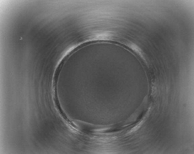 X0000066011077200603101550