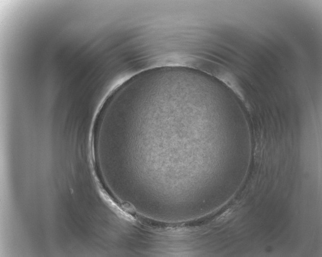 X0000066011080200603101550