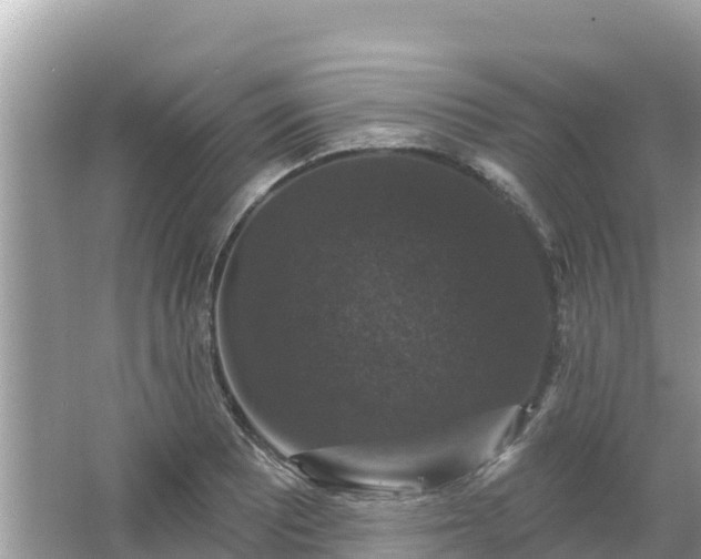 X0000066011081200603101550