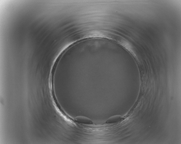 X0000066011084200603101550