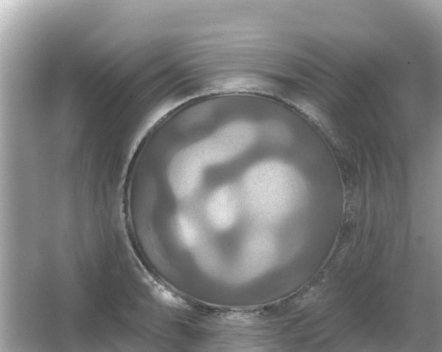 X0000066011086200603101550