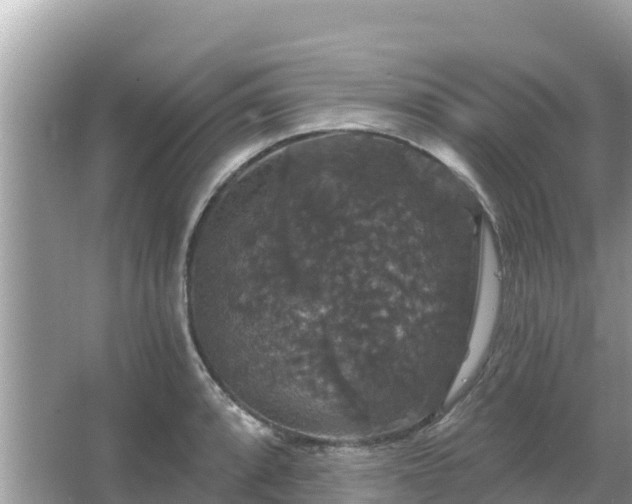 X0000066011088200603101550