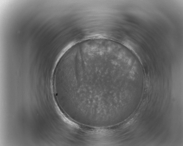 X0000066011090200603101550