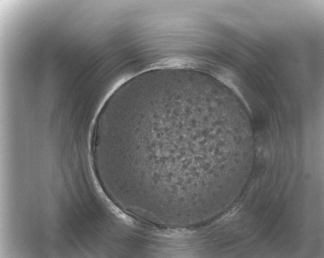 X0000066011091200603101550