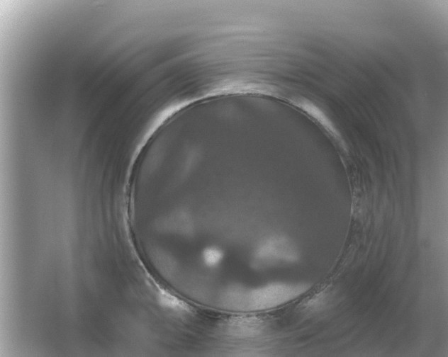 X0000066011094200603101550