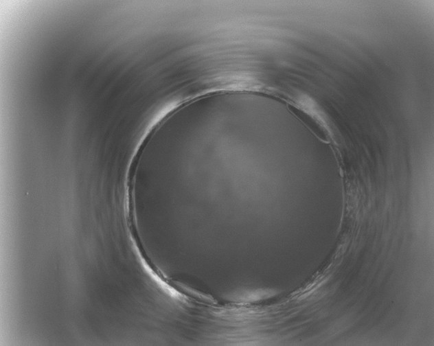 X0000066011095200603101550