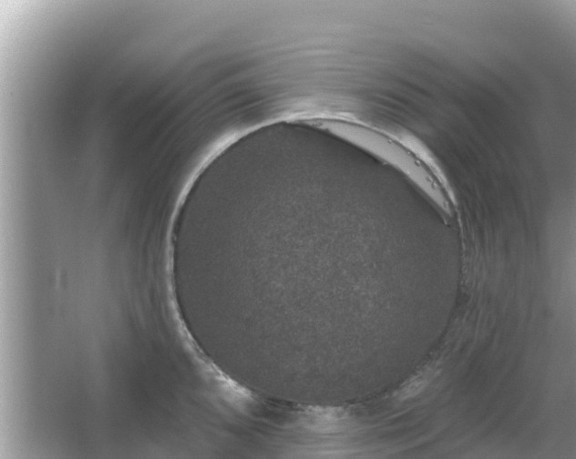 X0000066011096200603101550