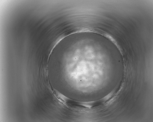 X0000066011097200603101550