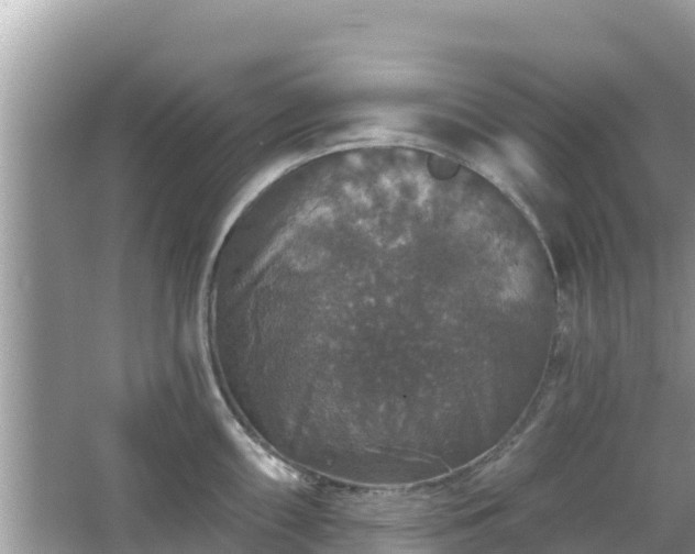 X0000066011098200603101550