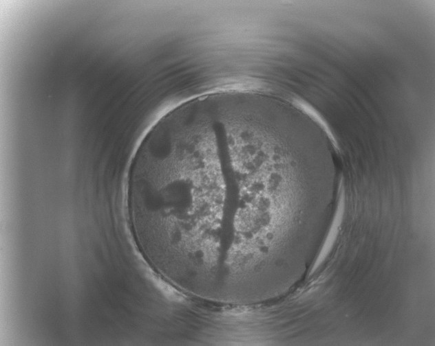 X0000066011099200603101550