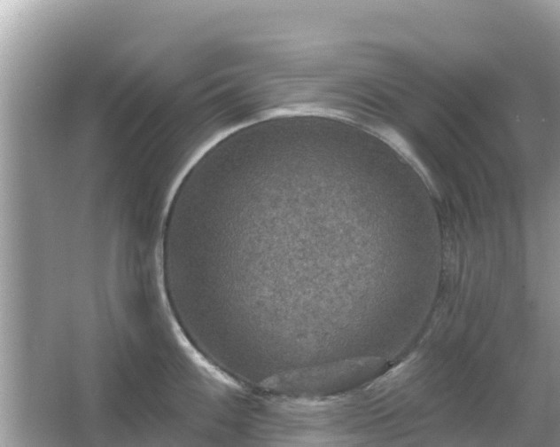 X0000066011100200603101550