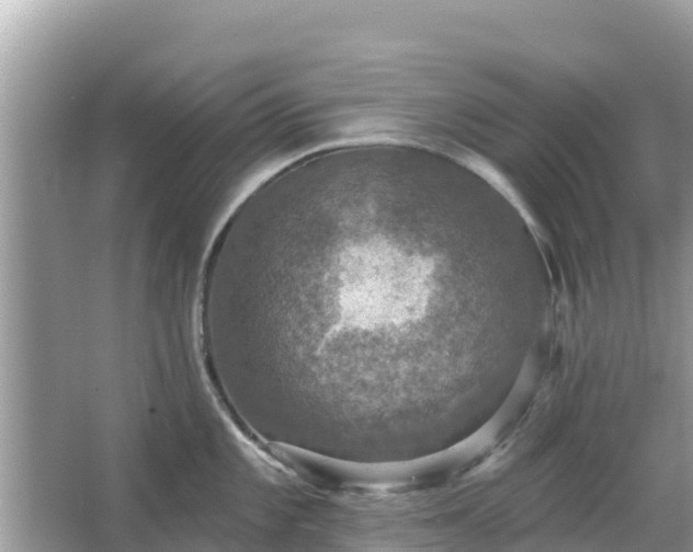 X0000066011101200603101550