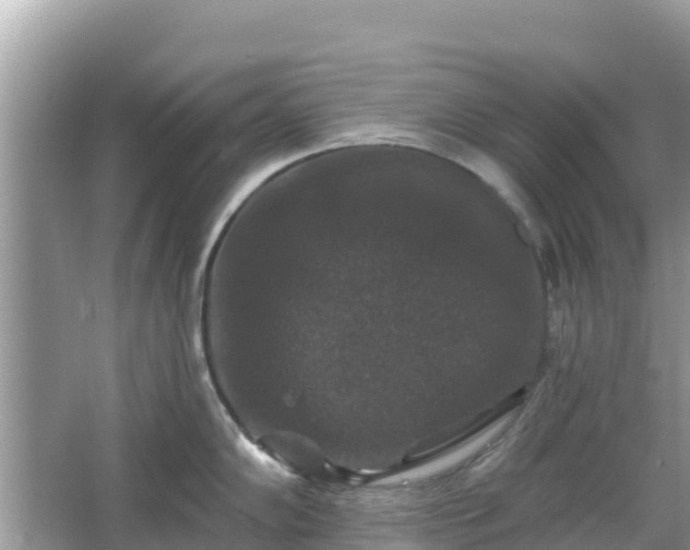 X0000066011102200603101550