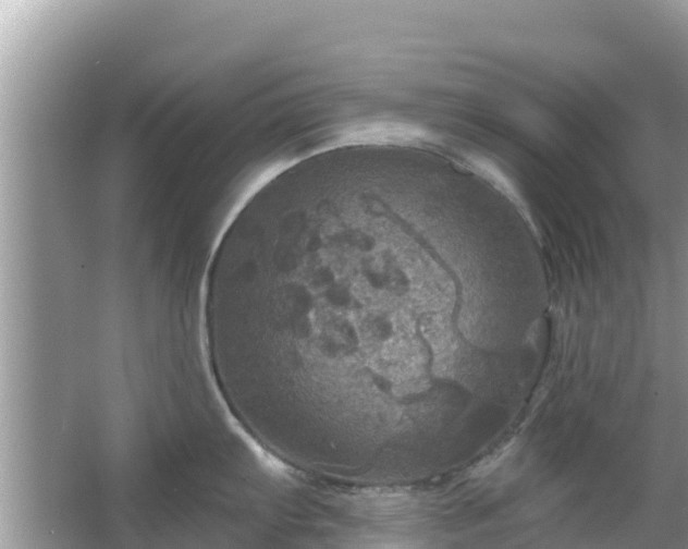 X0000066011103200603101550