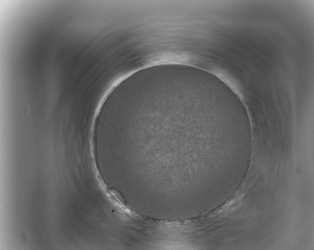 X0000066011104200603101550