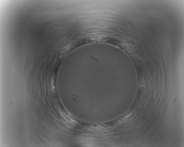 X0000066011106200603101549