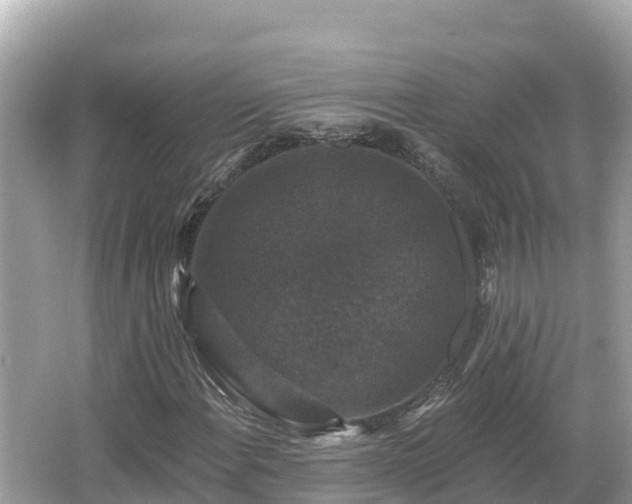 X0000066011108200603101549