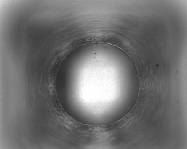 X0000066011109200603101549