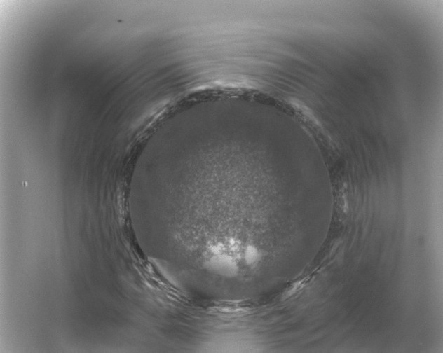 X0000066011110200603101549