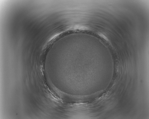 X0000066011112200603101549