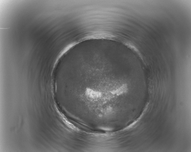 X0000066011114200603101549