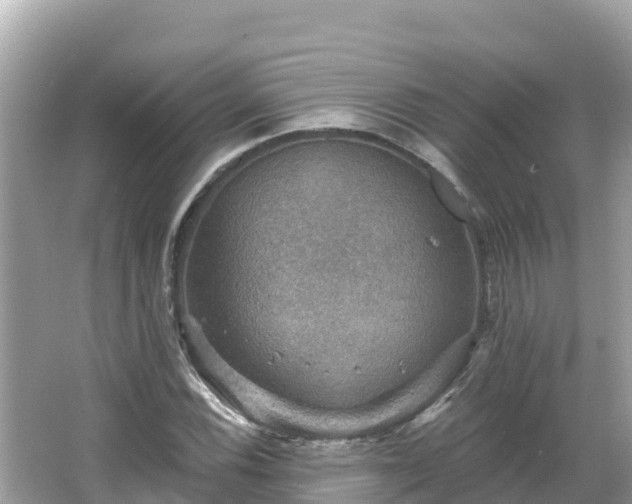 X0000066011116200603101549