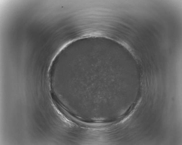 X0000066011118200603101549