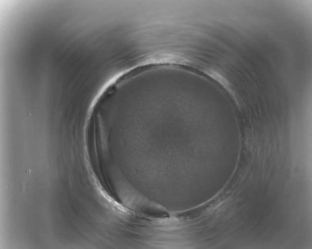 X0000066011120200603101549