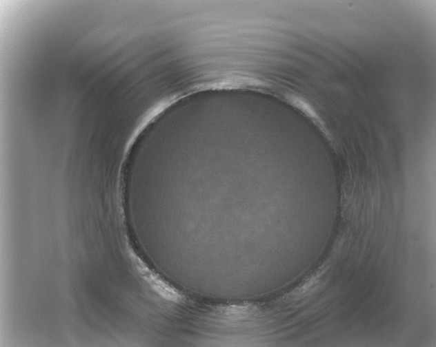 X0000066011122200603101549