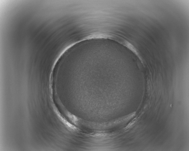 X0000066011124200603101549