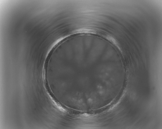 X0000066011125200603101549