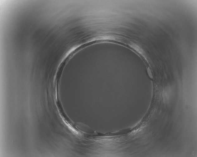 X0000066011127200603101549